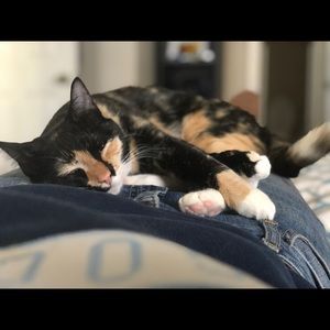 Meet your Posher, Emily